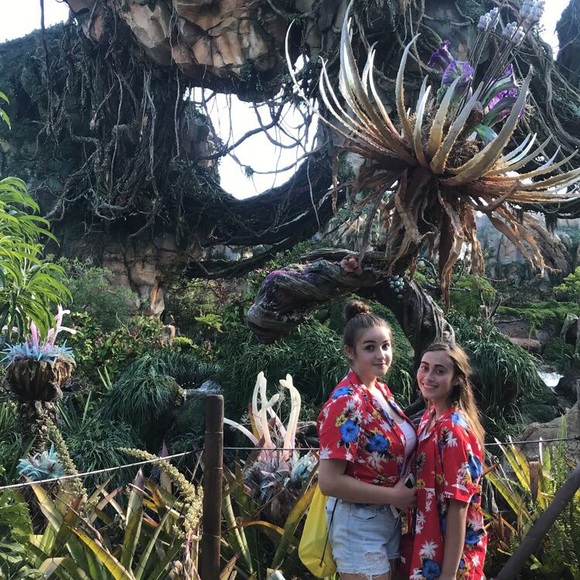 Meet your Posher, Sierra - Picture 3 of 6